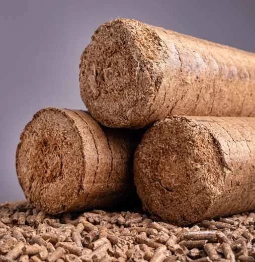 Biomass Briquette